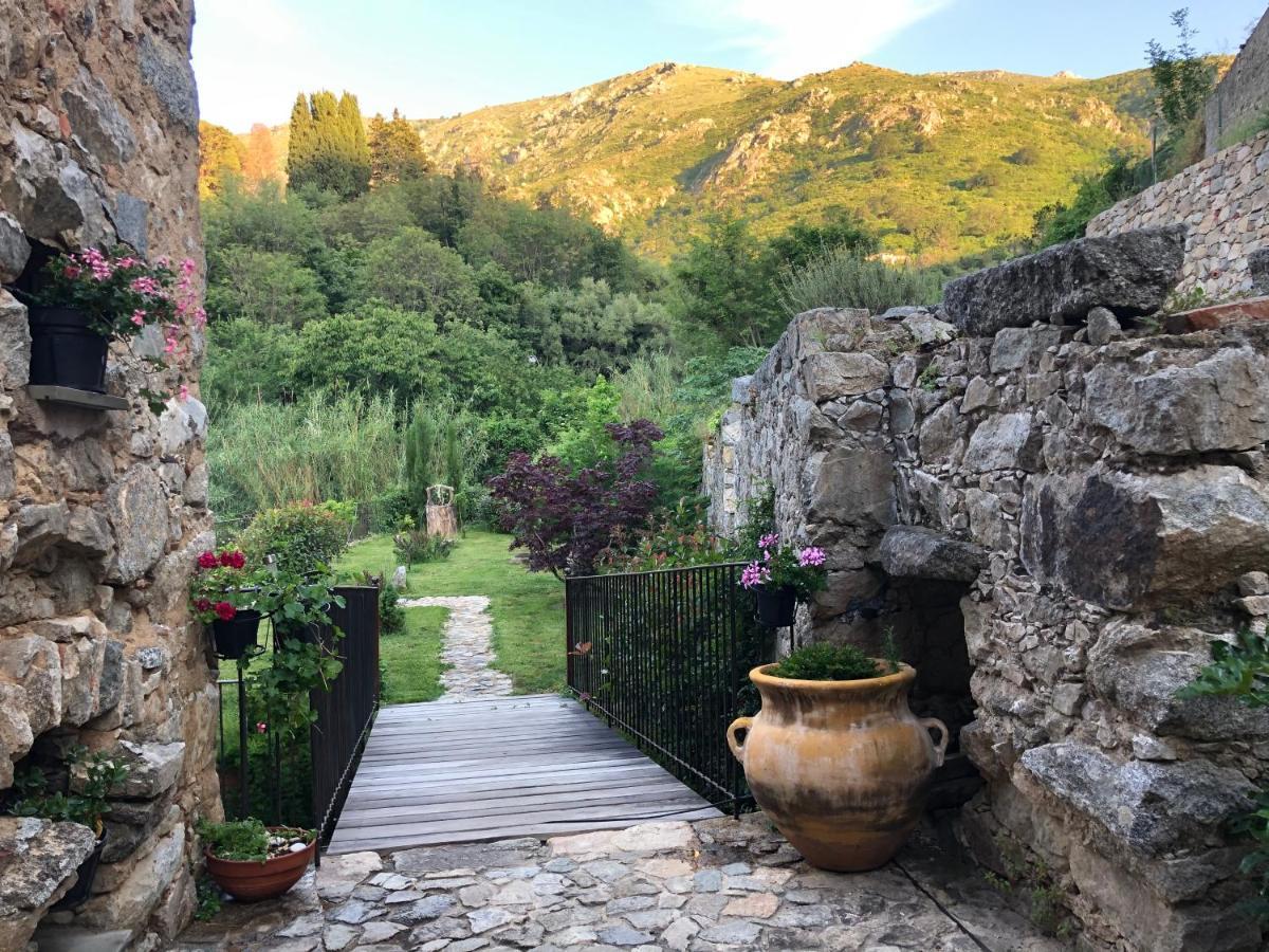 Chambres D'Hotes - Mulino Nannare Ville-di-Paraso Luaran gambar